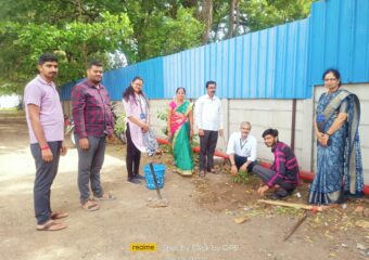 Tree Plantation